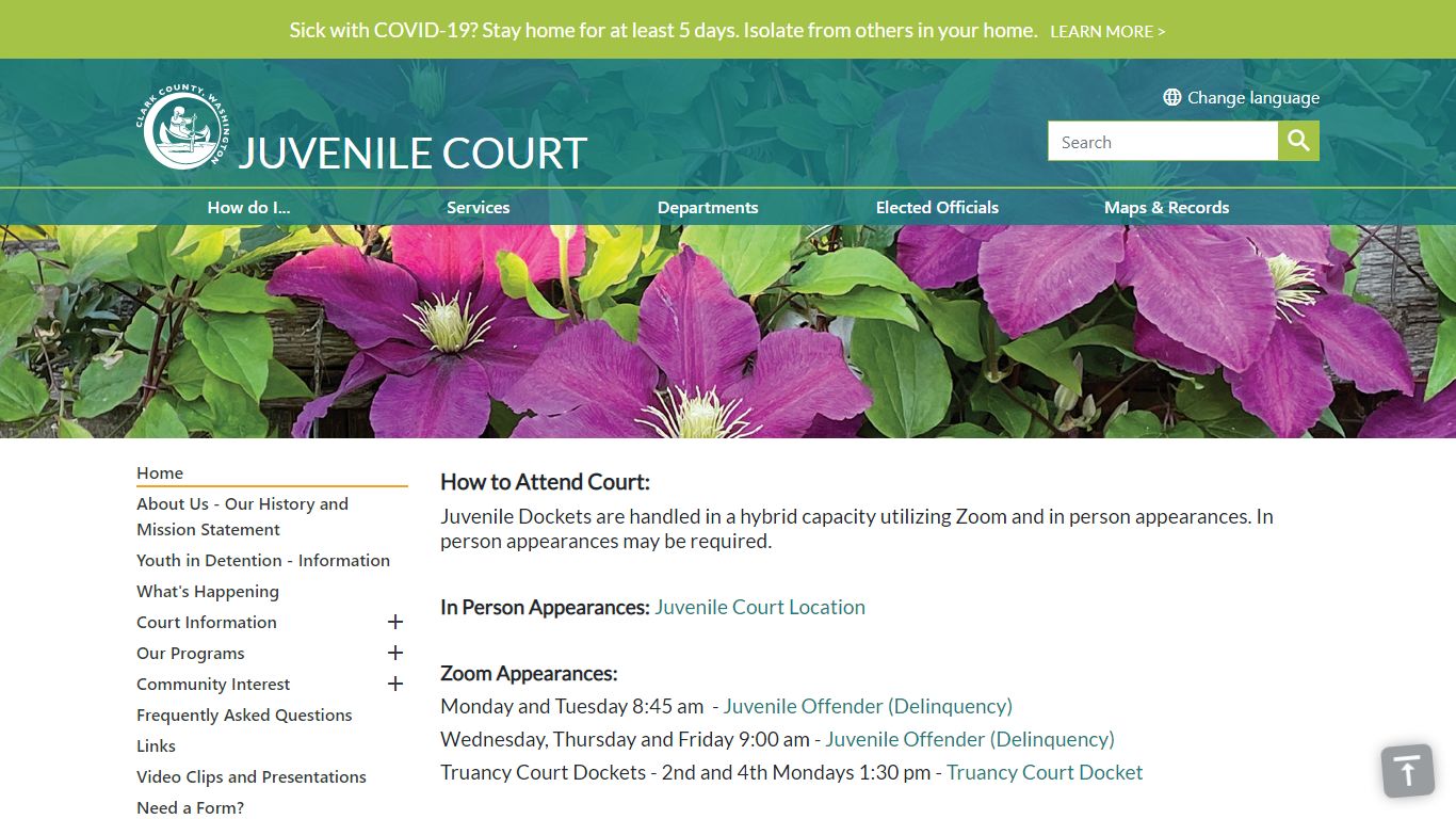 Juvenile Court | Clark County